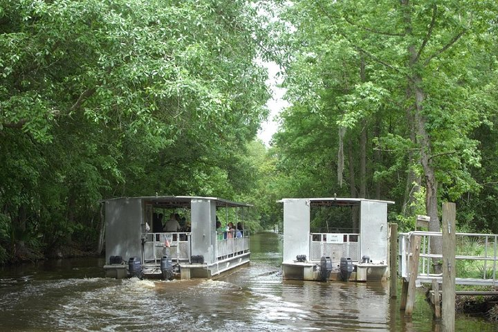 swamp boat jean lafitte swamp tour